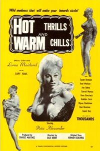 뜨거운 스릴과 따뜻한 오한 영화 포스터