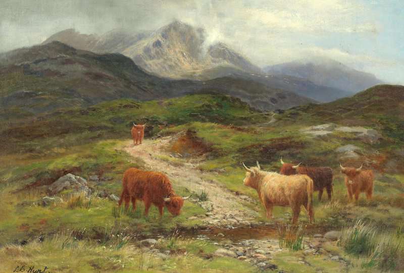 Hurt Louis Bosworth Cattle Grazing Near Beinn Eighe Kinlochewe canvas print
