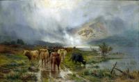 Verletzte Louis Bosworth Highland Cattle an einem Loch 1901