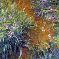 Iris de Monet