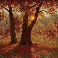 Ivan Fedorovich Choultse - Evening In Autumn