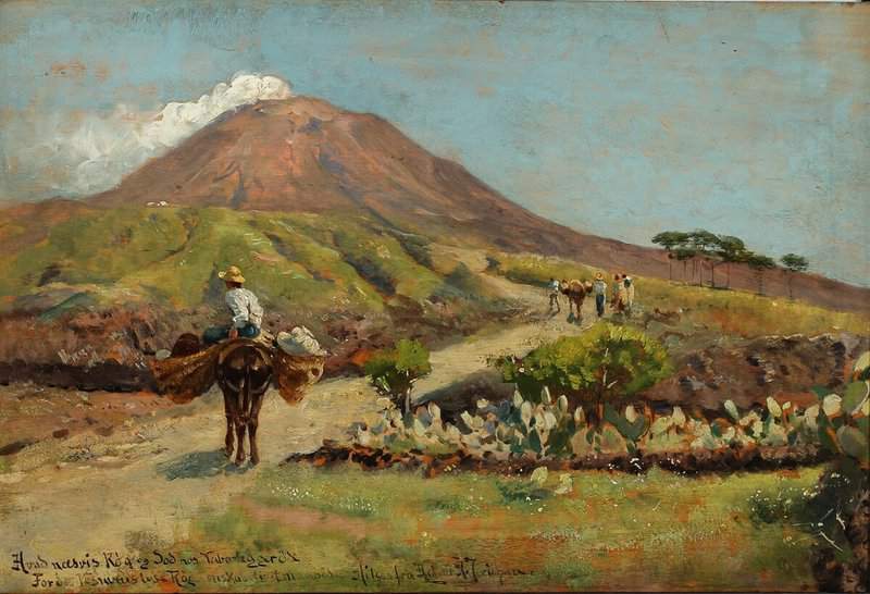 Jerichau Baumann Elisabeth The Road To The Observatory On Vesuvius 1895 canvas print