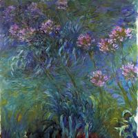 Sieraden Lelies van Monet