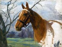 Kemp Welch Lucy Chestnut Horse canvas print