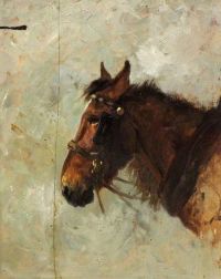 Kemp Welch Lucy Skizze des Pferdekopfes 1895