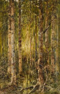 Klever Julius Sergius Von Birch Forest canvas print