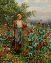 Ritter Daniel Ridgway Mohnblumen