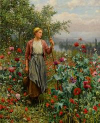 Knight Daniel Ridgway Poppies canvas print