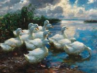 Koester Alexander Ducks By A Lake Leinwanddruck