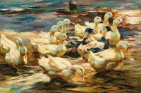 Koester Alexander Ducks Getting Out Of The Water canvas print