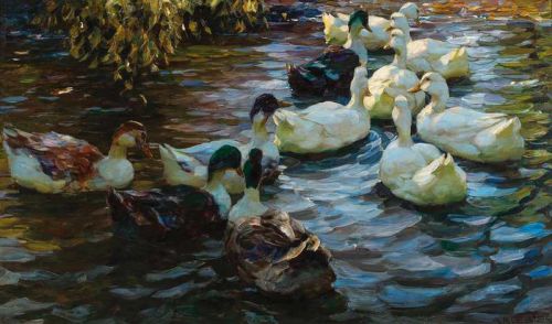 Koester Alexander Ducks In A Pond canvas print