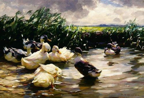 Koester Alexander Ducks In Green Water Ca. 1910 13 canvas print