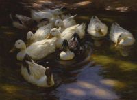 Koester Alexander Ducks In The Morning Sun canvas print