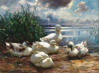 Koester Alexander Ducks On Lake Chiemsee In A Brewing Storm canvas print