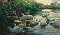Koester Alexander Ducks On The Dock canvas print