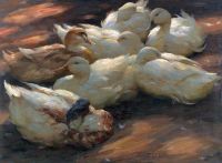 Koester Alexander Ducks On The Ground canvas print