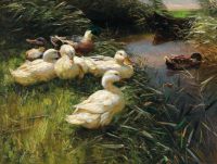 Koester Alexander Ducks On The Lakeside In Reeds With A Boat canvas print