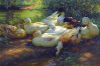 Koester Alexander Ducks On The Riverbank canvas print