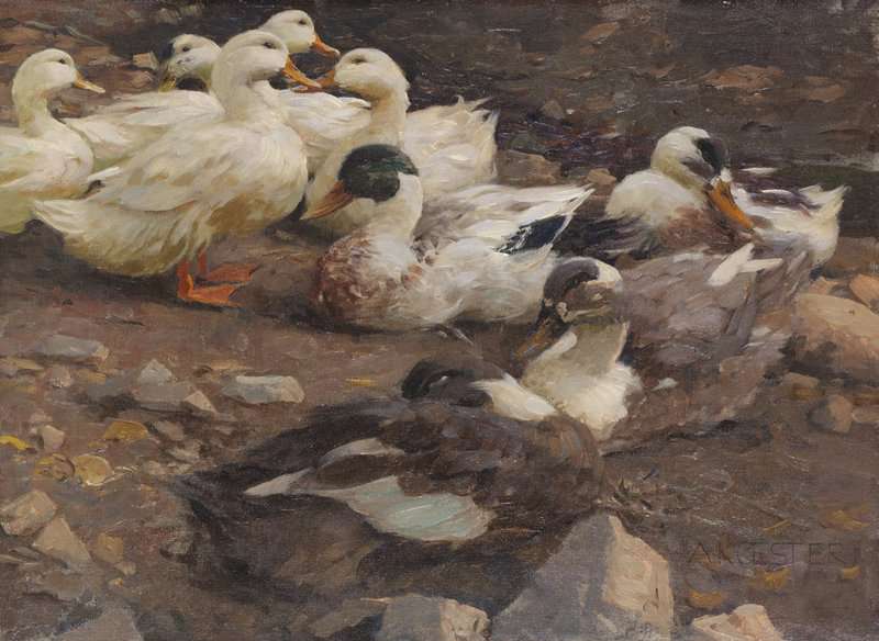 Koester Alexander Neun Enten Am Teichufer Before 1900 canvas print