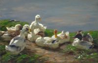 Koester Alexander Nine Ducks On A Pond Leinwanddruck
