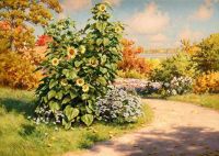 Krouthen Johan Flowering Garden With Sunflowers canvas print