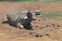 Kuhnert Wilhelm Resting Buffalo 1906 canvas print