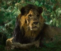 Kuhnert Wilhelm Resting Lion canvas print