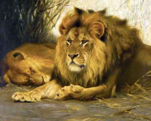 Kuhnert Wilhelm Resting Lions 1913 canvas print