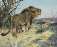 Kuhnert Wilhelm Roaring Lion canvas print