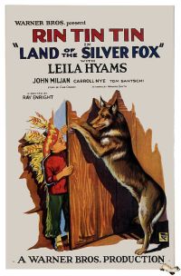 Stampa su tela del poster del film Land Of The Silver Fox 1928