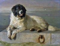 Landseer Edwin A Distinguished Member Of The Humane Society 1838