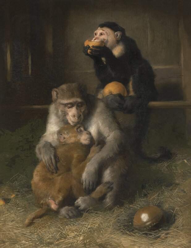 Landseer Edwin Doctor S Visit To Poor Relations At The Zoological Gardens canvas print
