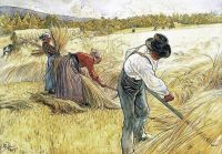 Larsson Carl Harvesting The Rye 1905 canvas print