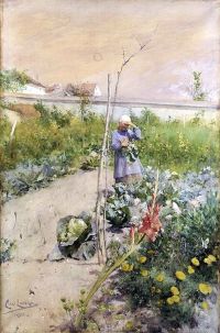 Larsson Carl In The Kitchen Garden 1883 canvas print
