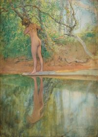 Larsson Carl Leontine Nude By The Beach canvas print