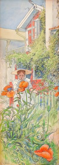 Larsson Carl Poppy   Kersti In The Garden canvas print