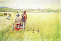 Larsson Carl Sowing Ca. 1905 1 canvas print