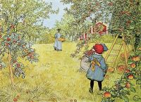 لارسون كارل حصاد التفاح 1899