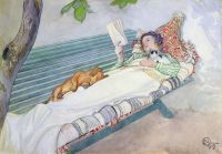 Larsson Carl Woman Lying On A Bench 1913 canvas print