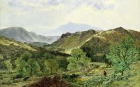 Anführer Benjamin Williams, der Vieh durch das Tal Capel Curig Moel Siabod im Leinwanddruck des Abstands 1871 treibt
