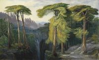 Lear Edward The Forest Of Bavella Circa 1878 88 canvas print