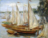 قوارب ليبرمان ماكس للإبحار على قماش بطبعة بحيرة وانسي