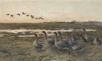 Liljefors Bruno Bean Geese In A Marshy Landscape 1921 canvas print