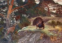 Liljefors Bruno Capercaillie S Courting 1913 canvas print