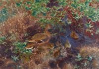 Liljefors Bruno Ducks On A Pond 1914 canvas print