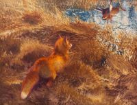 Liljefors Bruno Fox Hunting Duck canvas print