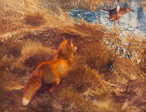 Liljefors Bruno Fox Hunting Duck canvas print