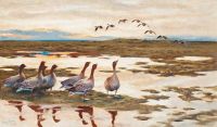 Liljefors Bruno Geese In A Landscape canvas print