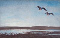 Liljefors Bruno Geese In Flight canvas print