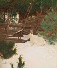 Liljefors Bruno Hare In A Winter canvas print